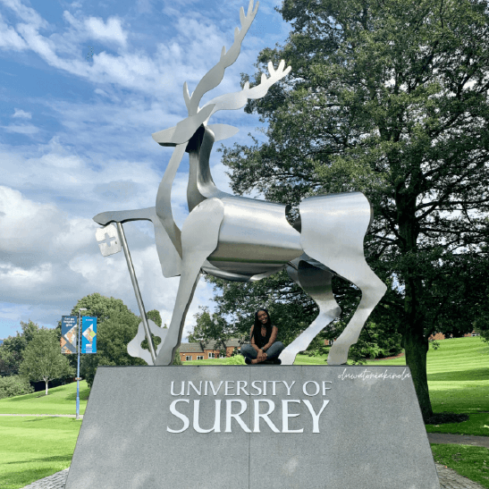 Toni Akinola University of Surrey